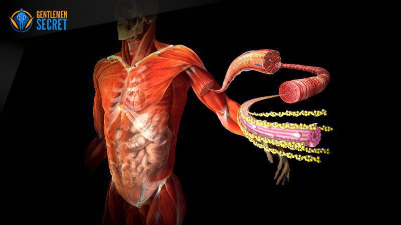 7. Phòng Chống Bệnh Tật và Khám Sức Khỏe Định Kỳ